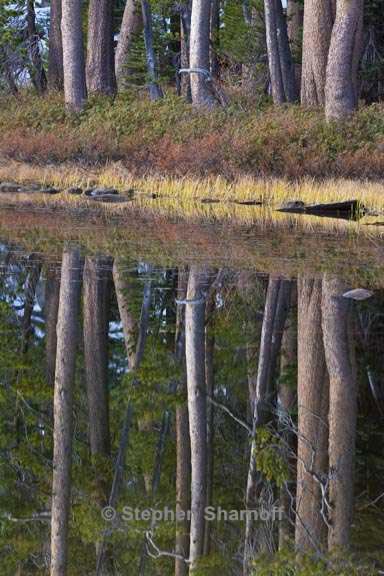 lakeshore reflections yosemite 4 graphic